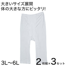画像をギャラリービューアに読み込む, メンズ ステテコ ロングパンツ ズボン下 大きいサイズ 2枚組×3セット 3L~6L (肌着 綿100% ボトム インナー 白)