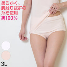 画像をギャラリービューアに読み込む, 綿100% ショーツ 深ばき 大きいサイズ 3L (レディース 綿 パンツ 深履き お腹すっぽり 日本製 下着 肌着 インナー コットン) (婦人肌着)
