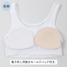 画像をギャラリービューアに読み込む, ジュニア ハーフトップ カップ付き 冷感 女の子 接触冷感 速乾 ストレッチ モールドカップ インナー ガールズ ブラトップ ジュニアブラ ひんやり 下着 肌着 白 黒 シンプル 150cm 160cm 165cm 初めてブラ ファーストブラ スクールインナー