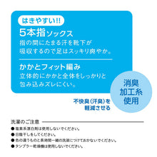 画像をギャラリービューアに読み込む, 5本指ソックス レディース ソックス 五本指靴下 クルー丈 婦人 クルー丈ソックス 2足組 靴下 アツギ 22-24cm・24-26cm ショート くつした シンプル グレー 黒 外反母趾