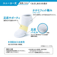 画像をギャラリービューアに読み込む, スニーカーソックス 靴下 紳士 アツギ ソックス 子供用 サポーティ 3足組 22-24cm~26-28cm 滑り止め付き クランク メンズ ジュニア キッズ スポーツ スニーカー丈ソックス  スクールソックス 白靴下