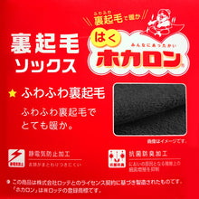 画像をギャラリービューアに読み込む, レディース クルーソックス 裏起毛 靴下 ソックス クルー丈 ホカロン あたたかい あったかい 防寒 260デニール相当 22-25cm 暖かい 保温 アツギ 黒 atsugi 冬 秋 寒さ対策
