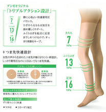 画像をギャラリービューアに読み込む, グンゼ BeautyShape 16hPaストッキング M-L・L-LL (GUNZE BeautyShape パンスト ストッキング パンティストッキング) (在庫限り)