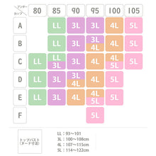 画像をギャラリービューアに読み込む, ノンワイヤーブラ 上下セット S ~ 5L ブラ レディース 下着 インナー レース かわいい ショーツ セット ワイヤレス 補整下着 痛くない 大きいサイズ 楽ちん ブラジャー