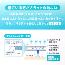 画像をギャラリービューアに読み込む, 靴下 レディース 夏 スニーカー丈 メッシュ ソックス 吸水速乾 さらさら 蒸れない 消臭 脱げにくい 滑り止め付き 通気性 快適 23-25cm 薄手 カジュアル デイリー シンプル 福助 さらプラス 通勤 通学 夏用 涼しい 婦人 女性用