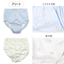 画像をギャラリービューアに読み込む, 女の子 ショーツ 綿100% 日本製 パンツ 2枚組 140 150 160 165 cm キッズ 下着 コットン 子供 インナー ガールズ 小学生 中学生 通学 下着セット 動物柄 かわいい 柄ショーツ 敏感肌 通気性 吸汗 通学用 学校用 ガールズショーツ キッズショーツ