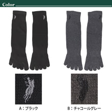 画像をギャラリービューアに読み込む, ビジネスソックス メンズ ソックス 5本指ソックス 紳士 POLO polo 25 26 27 cm 5本指 靴下 快適 フィット 無地 黒 ネイビー チャコール 仕事用 デイリー 普段使い プレゼント 父の日 ワンポイント