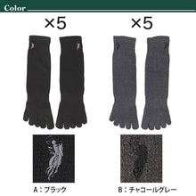 画像をギャラリービューアに読み込む, ビジネスソックス メンズ 5本指ソックス 紳士 POLO polo 5足セット 25 26 27 cm 5本指 ソックス 靴下 快適 フィット 無地 黒 ネイビー チャコール 仕事用 デイリー 普段使い プレゼント 父の日 ワンポイント 5足組 まとめ売り