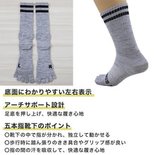 画像をギャラリービューアに読み込む, グンゼ GTホーキンス 5本指ソックス メンズ 靴下 3足組 25-27cm 五本指 ソックス 5本指 GUNZE 紳士 アウトドア スポーツ 運動 普段履き キャンプ ハイキング
