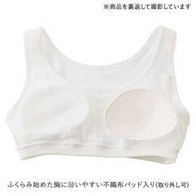 画像をギャラリービューアに読み込む, グンゼ 綿100% パット付き ハーフトップ ジュニアブラ 140~160cm 子供 下着 キッズ ジュニア インナー 女の子 白 ブラジャー スクール