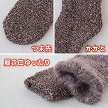画像をギャラリービューアに読み込む, グンゼ ウチコレ ルームソックス 裏起毛 冬 レディース 厚手 総パイル 23-25cm 靴下 暖かい ソックス クルーソックス 防寒 あったか 室内 (在庫限り)