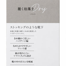画像をギャラリービューアに読み込む, グンゼ サブリナ レディース クルー丈 靴下 珪藻土 23 24 25 cm ソックス クルーソックス 吸水速乾 綿混 薄手 蒸れにくい Dry 汗ムレ軽減 ドライ さらさら ハイゲージ ソフトくちゴム くつ下 くつした クルー丈 ミドル丈 ストッキング風 きれいめ
