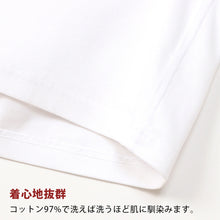画像をギャラリービューアに読み込む, ヘインズ BEEFY-T ビーフィー リブVネックTシャツ S~XL (Hanes tシャツ メンズ 無地 肌着 半袖 下着 綿 コットン インナー 男性 hanes S M L XL パックT