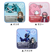 画像をギャラリービューアに読み込む, ハンドタオル タオル ポケモン ハンカチ キャラクター キッズ 子供 保育園 幼稚園 小学生 約20×20cm 景品 ギフト 粗品 プチハンドタオル ウォッシュタオル おしぼりタオル 子供用タオル 入園