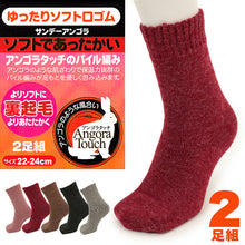 画像をギャラリービューアに読み込む, 靴下 レディース 暖かい 裏起毛 セット 2足組 22-24cm (あったかソックス 厚地 秋 冬 女性 防寒 保温 冷えない ソックス くつ下 あったか パイル) (在庫限り)