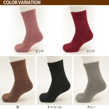 画像をギャラリービューアに読み込む, 靴下 レディース 暖かい 裏起毛 セット 2足組 22-24cm (あったかソックス 厚地 秋 冬 女性 防寒 保温 冷えない ソックス くつ下 あったか パイル) (在庫限り)