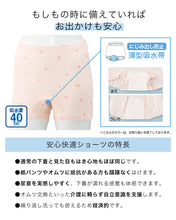画像をギャラリービューアに読み込む, 婦人 40cc対応 安心快適ズロース 2枚組 M L LL 中失禁 尿漏れ レディース パンティー 失禁パンツ 失禁ショーツ 吸水 レディース 婦人用 女性用 インナー 下着 肌着 アンダーウェア ショーツ 失禁用 介護用 介護ショーツ 綿 ケアズロース (取寄せ)