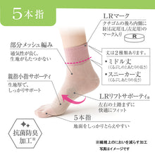 画像をギャラリービューアに読み込む, 5本指ソックス 靴下 スポーツ ジム スポーツソックス ソックス 運動 スニーカー丈 23-25cm (五本指 アーチ アツギ クリアビューティアクティブ ソックス スポーツソックス 5本指 ランニングソックス くつした)