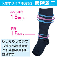 画像をギャラリービューアに読み込む, 着圧ソックス 大きいサイズ 綿混 ハイソックス 足口 ゆったり 22-24cm ぽっちゃり プラスサイズ むくみ 靴下 段階着圧 ビジネス 通勤 黒 レディース 3L 4L 5L 6L 7L 8L FreeFit フリーフィット