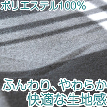 画像をギャラリービューアに読み込む, ひざ掛け ミニサイズ チェック柄 薄手 オフィス 学校用 防寒 オールシーズン 冬用 夏用 冷房対策 旅行用 屋外 業務用 かわいい 約48cm×70cm (在庫限り)
