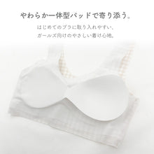 画像をギャラリービューアに読み込む, ジュニアブラ ハーフトップ 子供 ひびきにくい パッド付き かぶりタイプ S M L 小学生 中学生 女の子 女子 かわいい ジュニア ノンワイヤー ブラジャー 下着 インナー