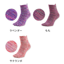 画像をギャラリービューアに読み込む, 5本指ソックス レディース 口ゴム ゆったり 綿 5本指靴下 クルーソックス 22-24cm 五本指ソックス 靴下 クルー丈 ソックス カラフル カラー 女性 日本製 吸汗 丈夫 おしゃれ かわいい 締め付けない