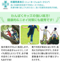 画像をギャラリービューアに読み込む, 5本指靴下 子供 クルーソックス 16-18cm・19-21cm 五本指ソックス 5本指ソックス キッズ 男の子 女の子 クルー丈 日本製 無地