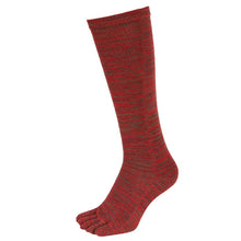 画像をギャラリービューアに読み込む, 5本指靴下 ハイソックス レディース 22-24cm (5本指ソックス 五本指 ソックス 女性 22cm 23cm 日本製 丈夫 カラフル) (在庫限り)