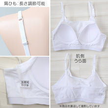画像をギャラリービューアに読み込む, ノンワイヤーブラ ハーフトップ 綿 レディース キャミソール型 S M L LL 下着 ブラジャー ハーフトップブラ 綿混 インナー 肌着 無地 締め付けない 楽 ワイヤレス (在庫限り)