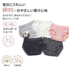 画像をギャラリービューアに読み込む, ショーツ レディース 綿 レース S M L LL 3L 4L 無地 パンツ コットン 大きいサイズ スタンダードショーツ シンプル ストレッチ インナー 女性 下着 婦人 肌着 パンティ 綿混