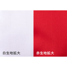 画像をギャラリービューアに読み込む, 園児帽子 男の子 女の子 ゴム付き キャップ カラー豊富 紫外線対策 定番 赤 白 青 黄 ピンク 綿素材 ポリエステル フリー・LL (ラビットアース キッズ 幼稚園 保育園 定番 UV対策 熱中症対策 遠足 LL フリーサイズ)