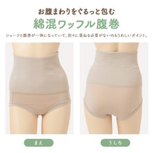画像をギャラリービューアに読み込む, 腹巻付き ショーツ レディース 温活 ワッフル 綿混 腹巻パンツ お腹すっぽり ストレッチ 伸縮性 ホホバオイル 保湿加工 スタンダード 深ばき 深履き 下着 肌着 女性用 パンツ M L LL レディースショーツ 腹巻ショーツ ハラマキパンツ お腹まわり