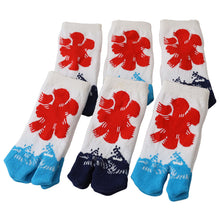 画像をギャラリービューアに読み込む, アウトレット キッズ 足袋ソックス 6足組 子供靴下 くつ下 10-24cm キッズ スニーカー丈 綿混 足袋 タビ 足袋靴下 足袋型靴下 くつ下 くつした 日本製 (在庫限り)