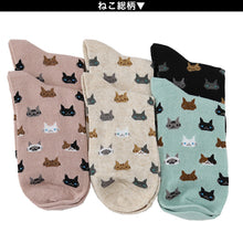 画像をギャラリービューアに読み込む, 【 お得 】 レディース ショートソックス リネン 麻 フレンチリネン 6足組 22-24cm (ショート丈 リネンソックス 麻混 ソックス くつ下 くつした) (在庫限り)