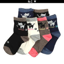 画像をギャラリービューアに読み込む, 【 お得 】 キッズ 靴下 ソックス 子供靴下 ショートソックス 6足組 16-18cm~22-24cm (ガールズ ショート丈 綿混 くつ下 くつした ねこ ネコ くま) (在庫限り)