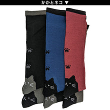 画像をギャラリービューアに読み込む, 【 お得 】 ガールズ キッズ ハイソックス 靴下 6足組 22-24cm (女の子 ジュニアソックス ロング丈 長靴下 くつ下 くつした) (在庫限り)