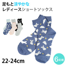 画像をギャラリービューアに読み込む, miolyy COOLタッチ 冷感 ショートソックス 6足組 22-24cm (レディース スニーカー丈 靴下 ソックス くつ下 くつした 接触冷感 夏 暑さ対策) (在庫限り)