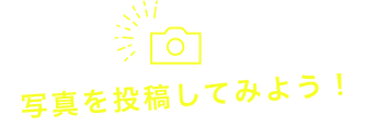 写真を投稿してみよう!
