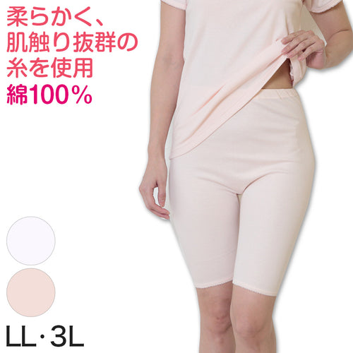 デミアン 綿100% コーマ糸使用 5分長ズロース LL・3L (レディース 婦人 インナー 下着 綿 コットン 吸湿 日本製 大きいサイズ ズボン下 5分丈 ズロース) (婦人肌着) (在庫限り)