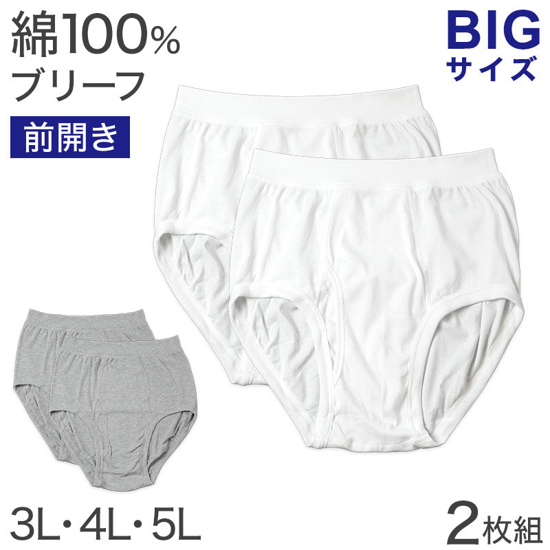 ブリーフ 綿100% 大きいサイズ 2枚組 3L 4L 5L 前あき メンズ 下着