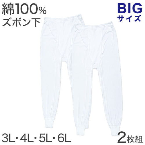 ズボン下 綿100% 大きいサイズ 2枚組 3L 4L 5L 6L メンズ 肌着 下着 ステテコ インナー コットン ビッグサイズ アンダーパンツ 前開き 下着 男性 白 無地 3l 4l 5l 6l