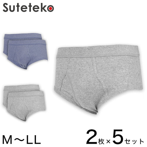 抗菌防臭加工 フライス天スパンブリーフ 2枚組×5セット M～LL (綿100% メンズ 男性 紳士 下着 肌着 インナー オールシーズン ベーシック) (在庫限り)
