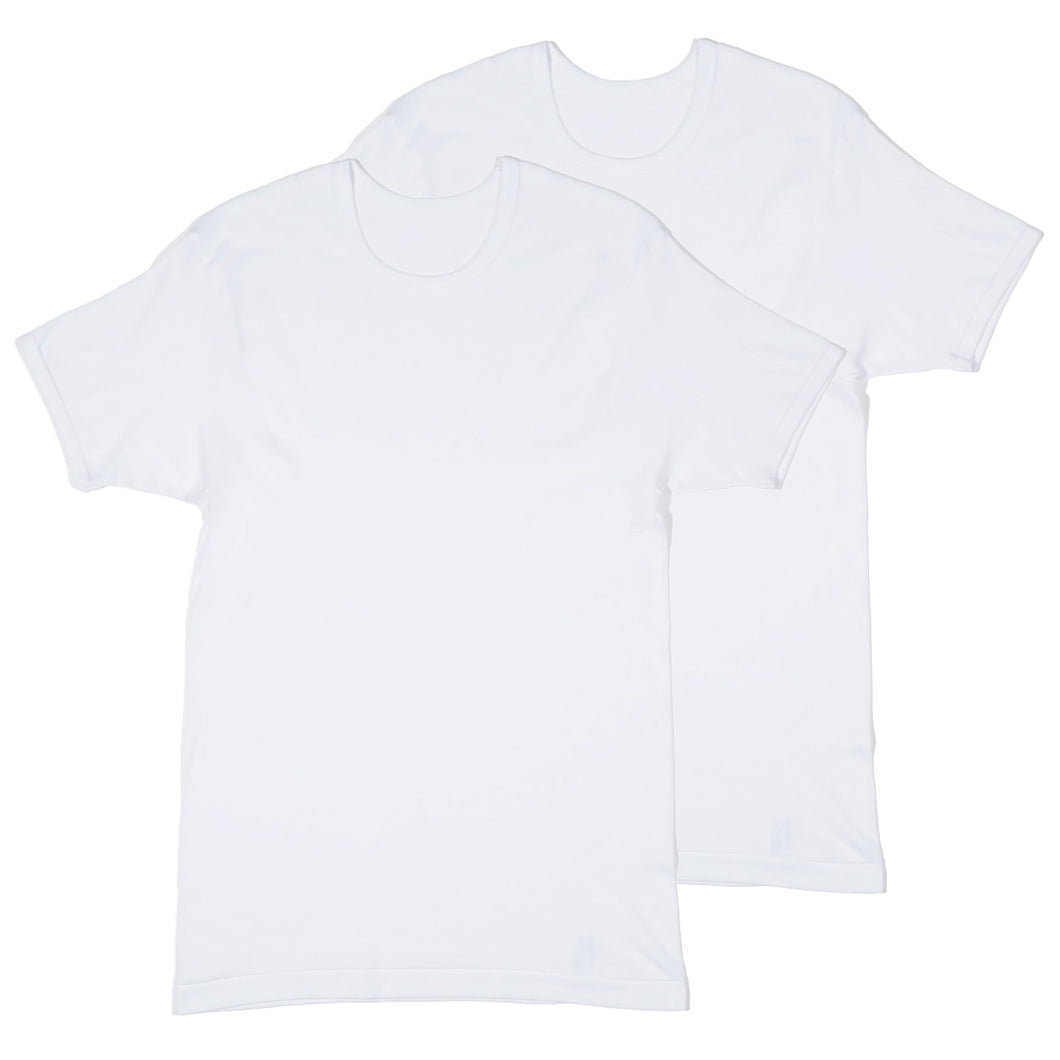 メンズ 半袖 綿100% インナー tシャツ 丸首 2枚組 アツギ 半袖シャツ クルーネック コットン 綿 肌に優しい M L LL 敏感肌 紳士 肌着 下着 男 アンダーウェア まとめ買い