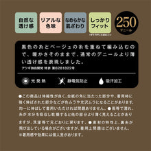 画像をギャラリービューアに読み込む, フェイクタイツ レディース 250デニール 厚手 裏ベージュ 透け感 防寒 あったか 光発熱 吸汗 静電気防止 M-L L-LL ヌードトウ 消臭 黒原着ナイロン 薄手見え 素肌感 プレーティング編み フィット 伸縮性 冬 タイツ 通勤 通学 制服 スカート ワンピ
