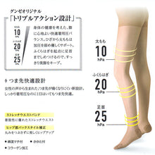 画像をギャラリービューアに読み込む, グンゼ 【2足セット】BeautyShape 25hPaストッキング M・L (GUNZE BeautyShape パンスト パンティストッキング) (在庫限り)
