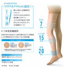 画像をギャラリービューアに読み込む, グンゼ 【2足セット】BeautyShape 20hPaストッキング M-L・L-LL (GUNZE BeautyShape パンスト ストッキング パンティストッキング) (在庫限り)
