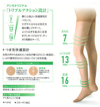 画像をギャラリービューアに読み込む, グンゼ 【2足セット】BeautyShape 16hPaストッキング M-L・L-LL (GUNZE BeautyShape パンスト ストッキング パンティストッキング) (在庫限り)
