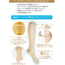画像をギャラリービューアに読み込む, 満足 ストッキングソックス 靴下 涼感 無地 ハイソックス丈 ひざ下丈 22-25cm  福助 フクスケ レディース 婦人 やわらか 肌カバー ナイロンソックス 消臭機能 冷感加工  (在庫限り)
