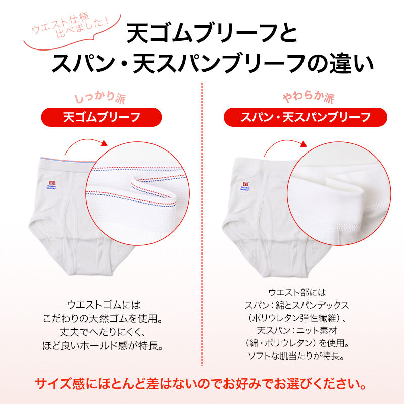 ブリーフ メンズ 綿100％ 白 前開き BVD パンツ 大きいサイズ インナー