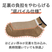 画像をギャラリービューアに読み込む, レディース ソックス 靴下 POLO ウエスタン スニーカー丈 刺繍 ワンポイント 22-24cm 23cm 24cm 底パイル ブラック ネイビー グレー モカ
